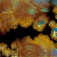 472000569