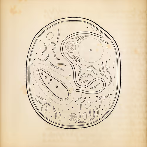 Cytographia By Golan Levin