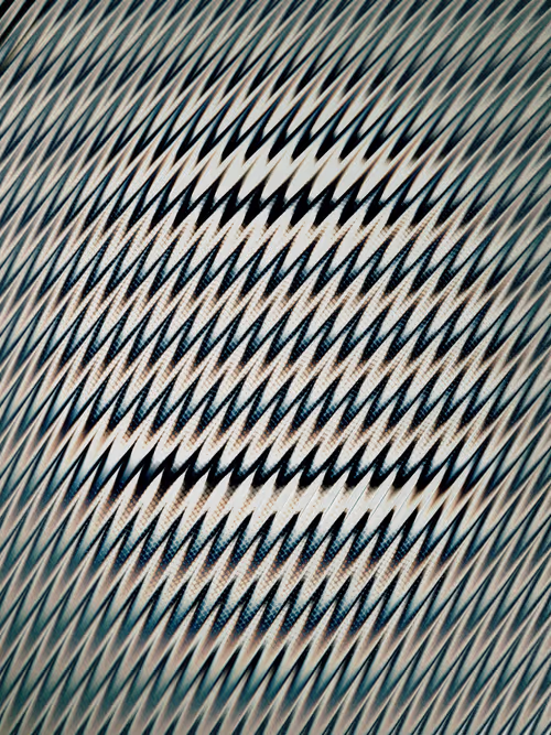 Item #484000282 Media