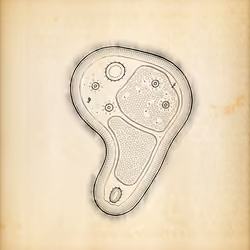 Cytographia #282