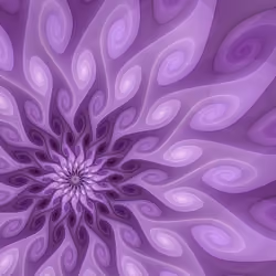 Volute #46