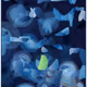 444000013