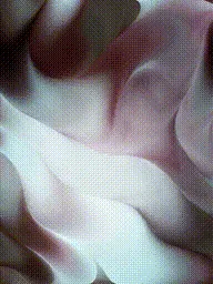 Item #399000230 Media