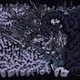 456000171