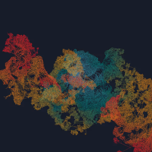 Mycelia By Jmy