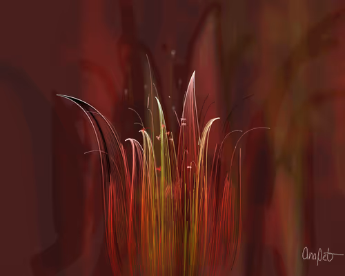 Item #378000167 Media