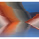 413000209