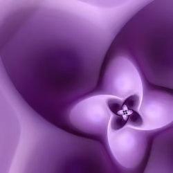Volute #80