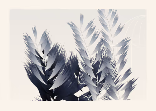 Item #467000017 Media