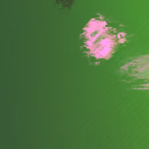 Item #477000190 Media