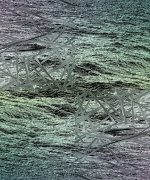 Item #405000019 Media