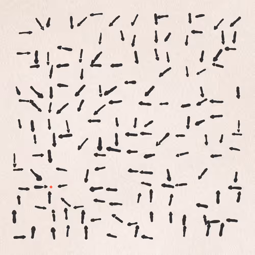 Item #387000068 Media