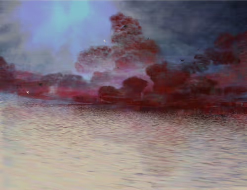 Item #459000013 Media