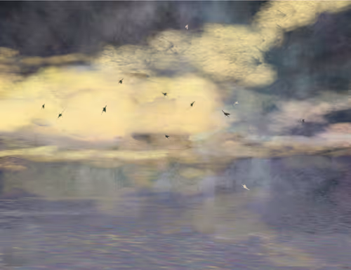 Item #459000054 Media