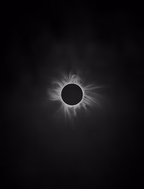 Item #423000103 Media