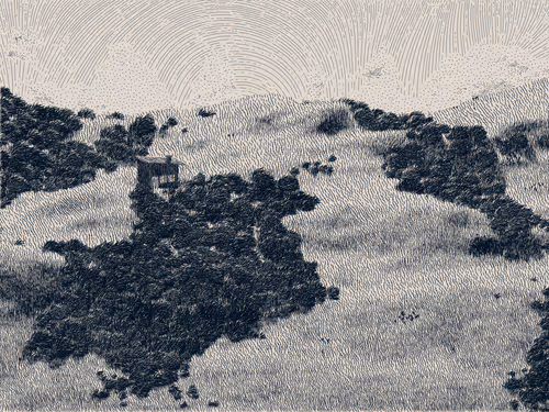 Item #476000113 Media