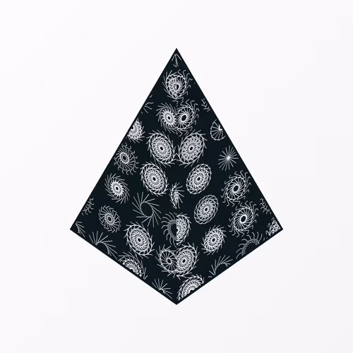 Coalition By Generative Artworks