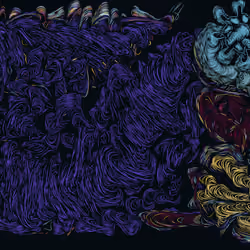 Spaghetti Bones #490