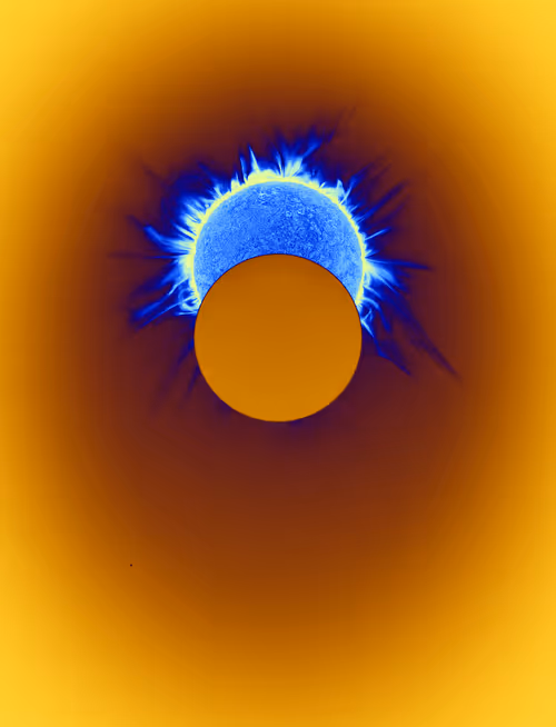 Item #423000284 Media