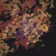 458000092