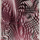 445000043