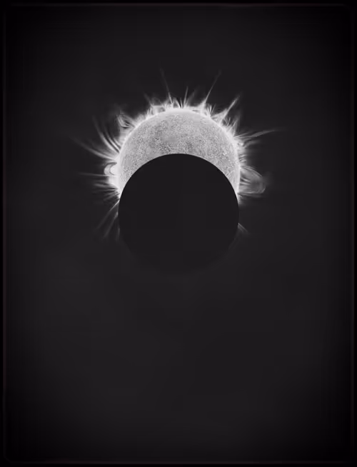 Item #423000036 Media