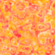 473000046