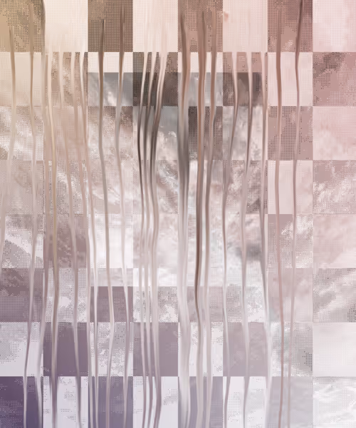 Item #405000041 Media