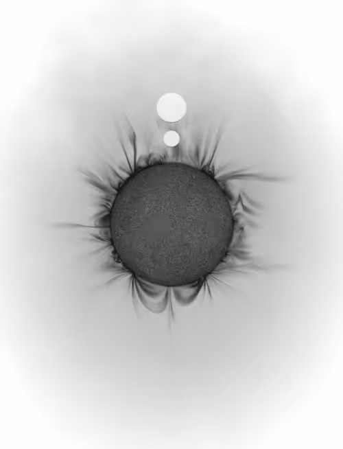 Item #423000370 Media