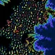 472000550