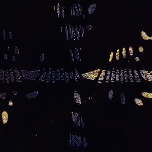 Item #416000169 Media