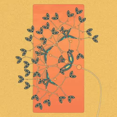 Item #380000014 Media