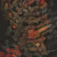458000059