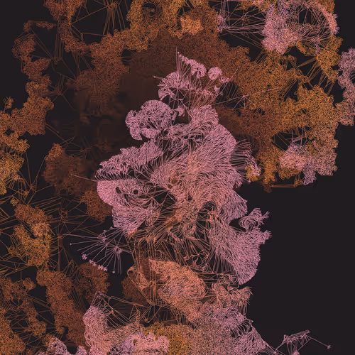 Mycelia By Jmy