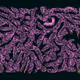 456000485