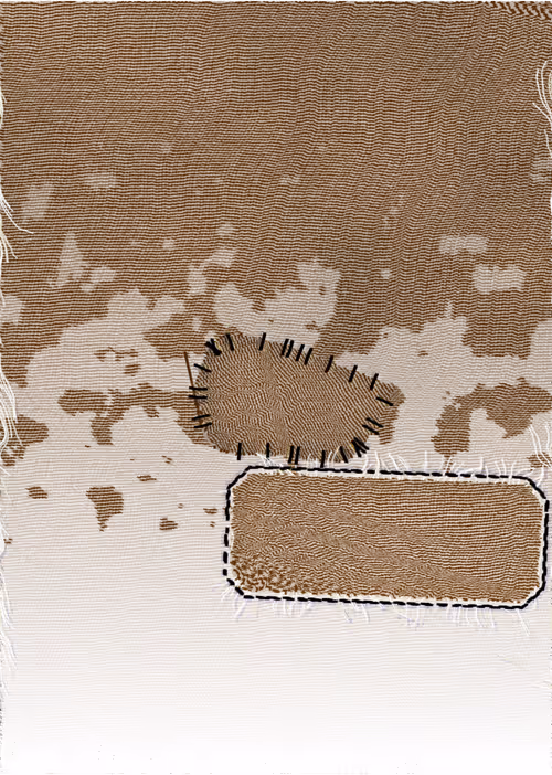 Item #410000114 Media