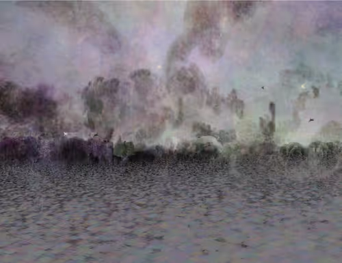 Item #459000041 Media