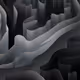 481000162