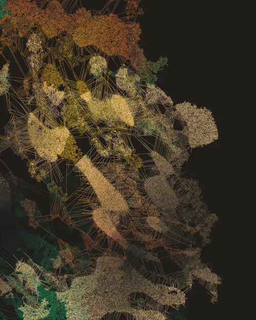 Item #458000055 Media