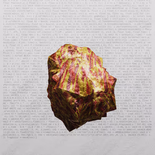 This Is Not A Rock By Nicole Vella