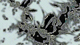 Item #472000606 Media