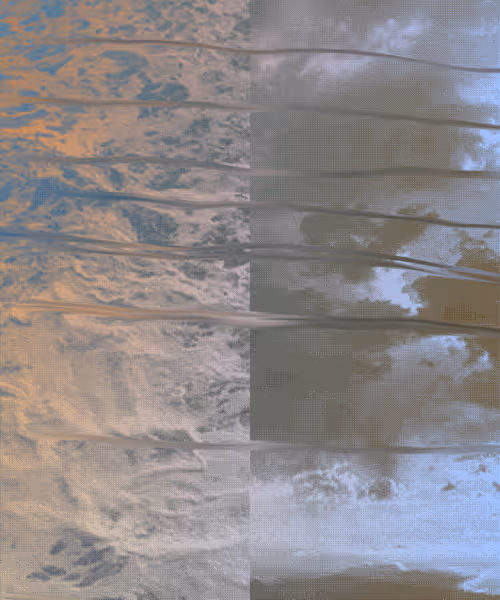 Item #405000075 Media