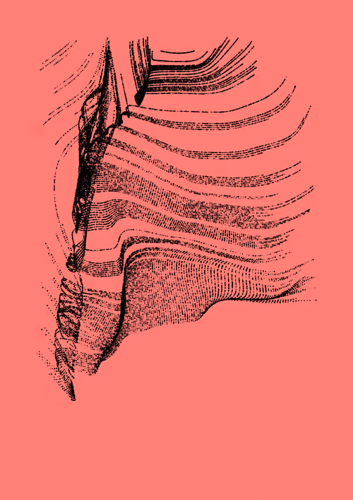 Item #443000240 Media