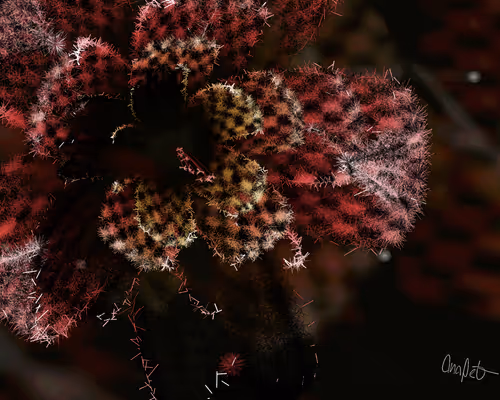 Item #378000216 Media