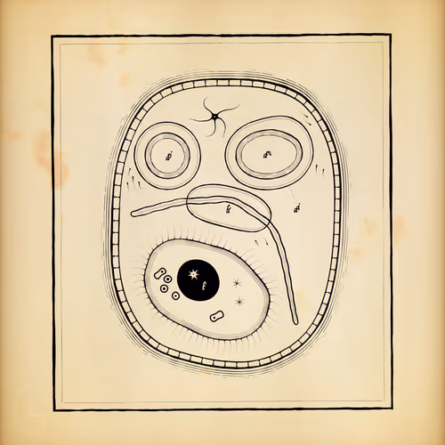 Item #487000043 Media