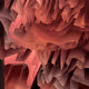 481000009