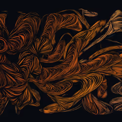 Spaghetti Bones #312
