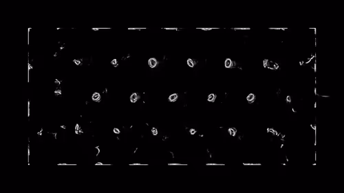 Item #383000013 Media