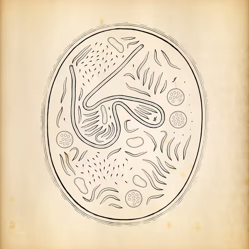 Cytographia By Golan Levin