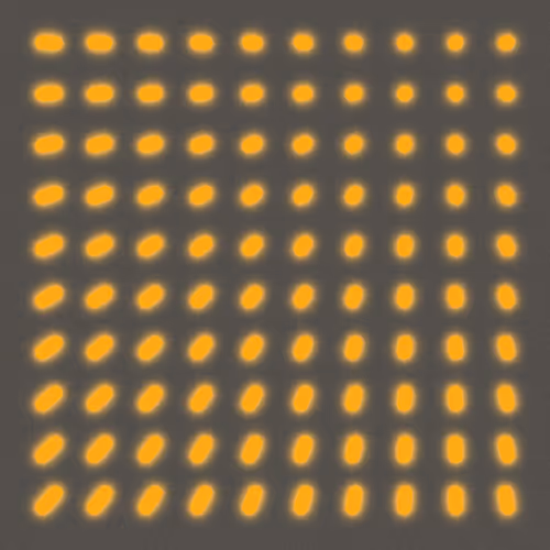 Item #448000145 Media